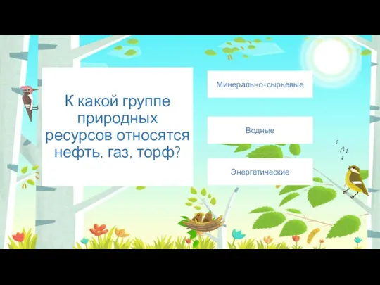 К какой группе природных ресурсов относятся нефть, газ, торф? Энергетические Минерально-сырьевые Водные