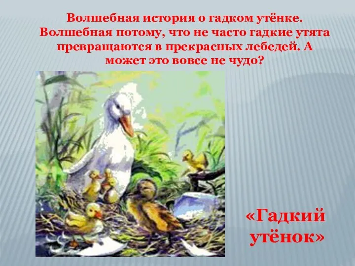 Волшебная история о гадком утёнке. Волшебная потому, что не часто гадкие утята