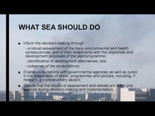 WHAT SEA SHOULD DO Inform the decision-making through - a robust assessment