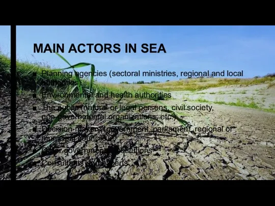 MAIN ACTORS IN SEA Planning agencies (sectoral ministries, regional and local authorities)