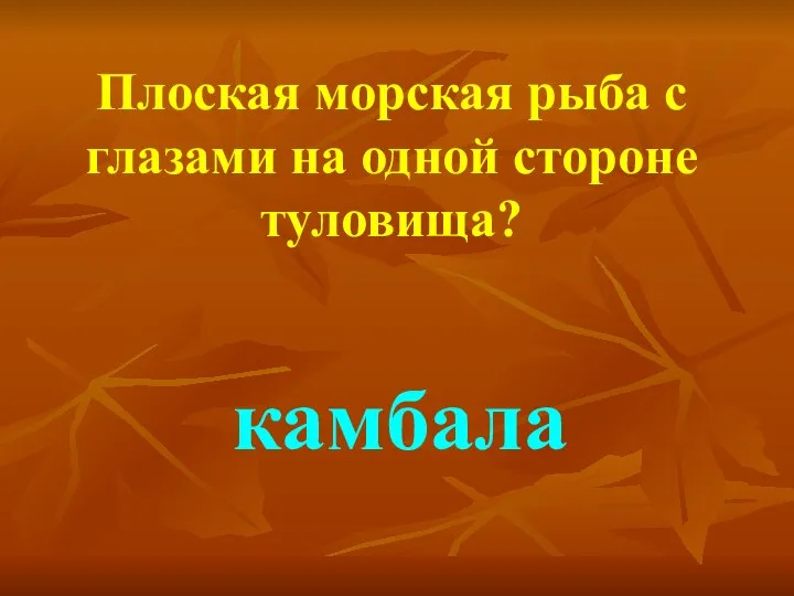 Плоская морская рыба с глазами на одной стороне туловища? камбала