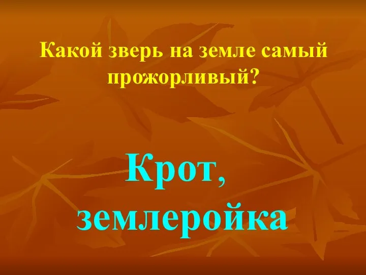 Какой зверь на земле самый прожорливый? Крот, землеройка