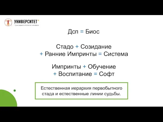 Дсп = Биос Стадо + Созидание + Ранние Импринты = Система Импринты