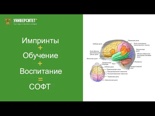 Импринты Обучение Воспитание СОФТ = + +