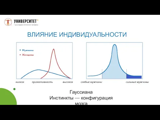 ВЛИЯНИЕ ИНДИВИДУАЛЬНОСТИ Гауссиана Инстинкты — конфигурация мозга