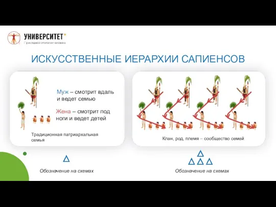 ИСКУССТВЕННЫЕ ИЕРАРХИИ САПИЕНСОВ Муж – смотрит вдаль и ведет семью Жена –