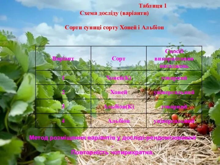 Таблиця 1 Схема досліду (варіанти) Сорти суниці сорту Хоней і Альбіон Метод