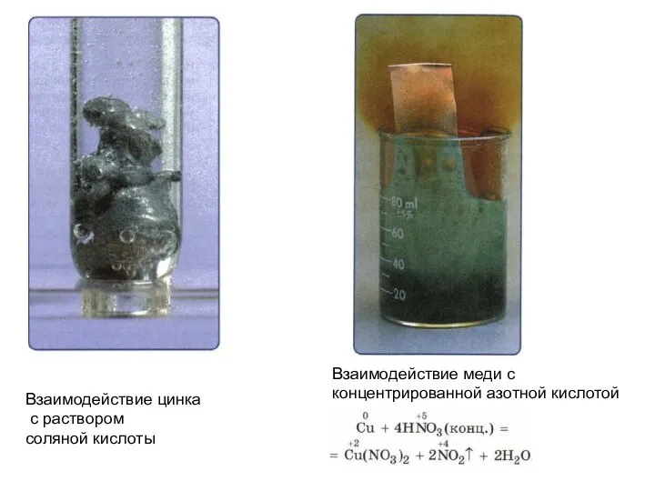 Взаимодействие цинка с раствором соляной кислоты Взаимодействие меди с концентрированной азотной кислотой