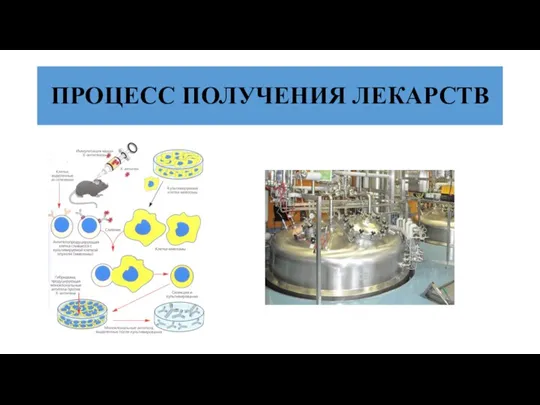 ПРОЦЕСС ПОЛУЧЕНИЯ ЛЕКАРСТВ