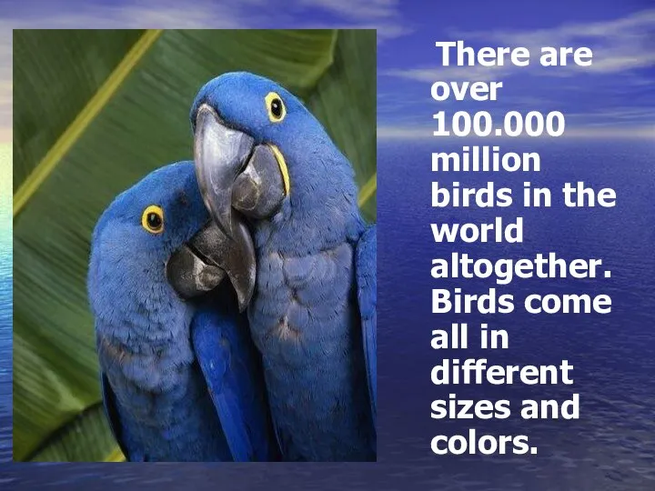 There are over 100.000 million birds in the world altogether. Birds come