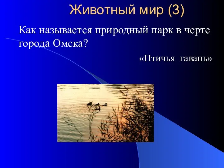 Как называется природный парк в черте города Омска? «Птичья гавань» Животный мир (3)