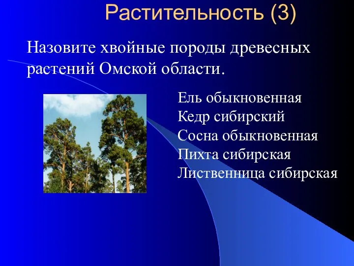 Назовите хвойные породы древесных растений Омской области. Ель обыкновенная Кедр сибирский Сосна