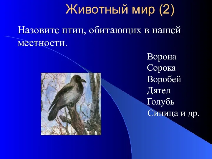 Назовите птиц, обитающих в нашей местности. Ворона Сорока Воробей Дятел Голубь Животный