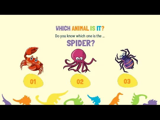 WHICH ANIMAL IS IT? Do you know which one is the … SPIDER?