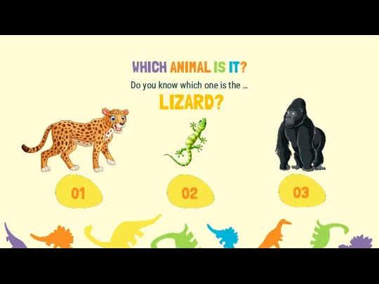 WHICH ANIMAL IS IT? Do you know which one is the … LIZARD?