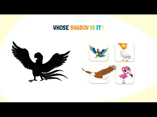 WHOSE SHADOW IS IT?