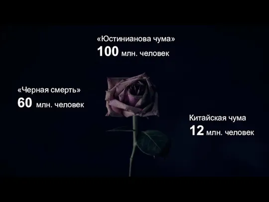 «Юстинианова чума» 100 млн. человек «Черная смерть» 60 млн. человек Китайская чума 12 млн. человек