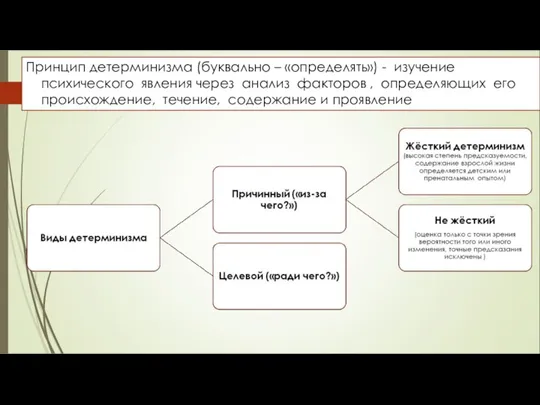 Принцип детерминизма (буквально – «определять») - изучение психического явления через анализ факторов