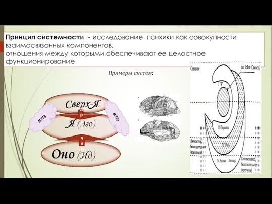 Принцип системности - исследование психики как совокупности взаимосвязанных компонентов, отношения между которыми