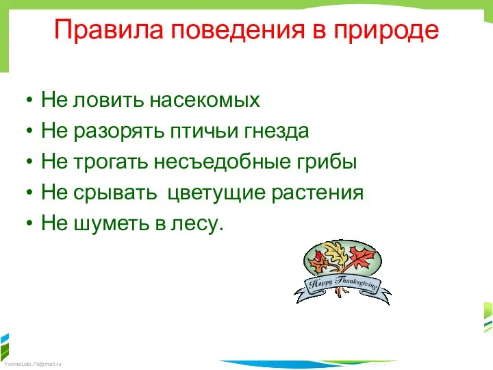 Правила поведения в природе Не ловить насекомых Не разорять птичьи гнезда Не