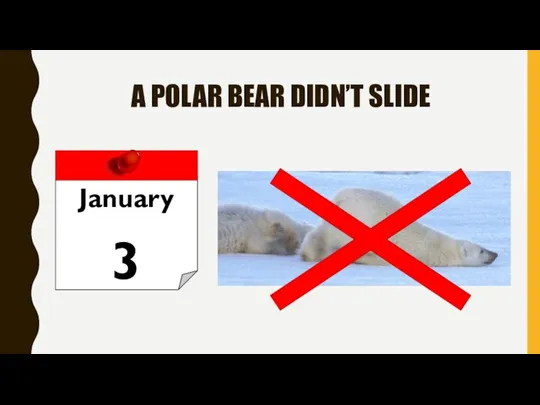 A POLAR BEAR DIDN’T SLIDE January 3