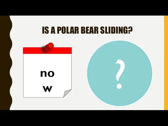 IS A POLAR BEAR SLIDING? now ?