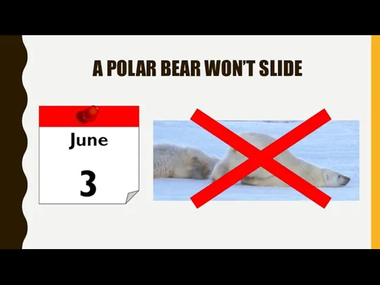 A POLAR BEAR WON’T SLIDE June 3