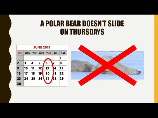 A POLAR BEAR DOESN’T SLIDE ON THURSDAYS