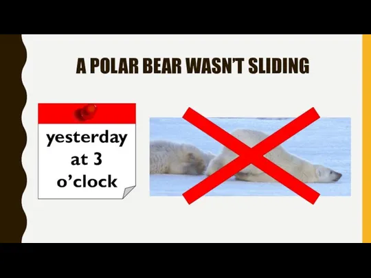 A POLAR BEAR WASN’T SLIDING yesterday at 3 o’clock