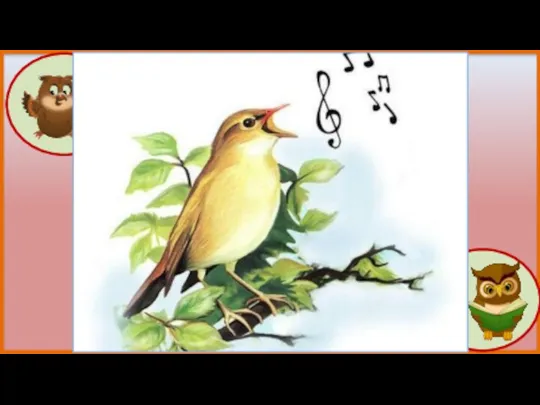Почему птицы поют Пение-это птичий язык! Пением птицы привлекают подруг, когда хотят