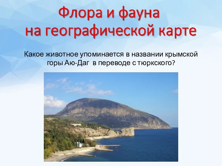 Какое животное упоминается в названии крымской горы Аю-Даг в переводе с тюркского?