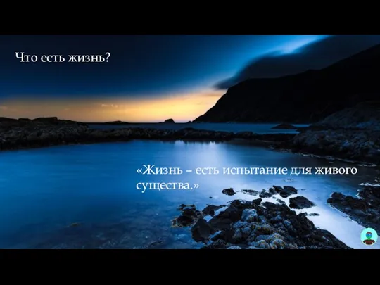 Что есть жизнь? «Жизнь – есть испытание для живого существа.»
