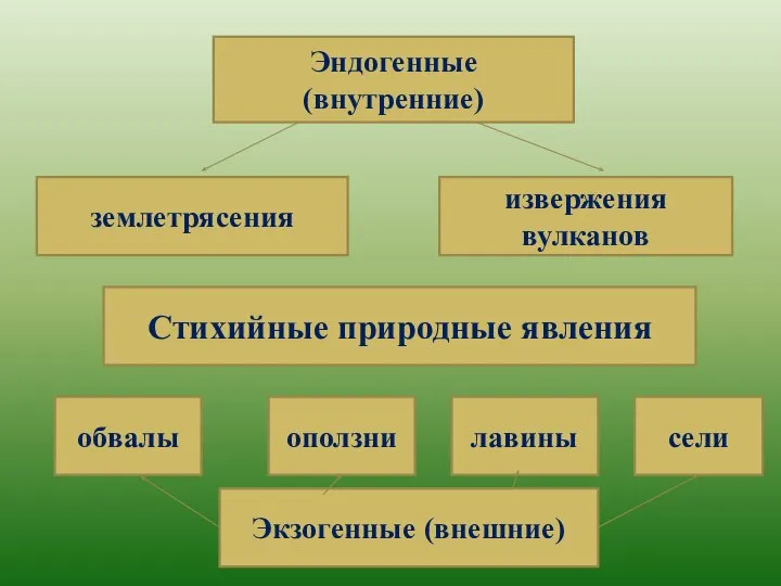 Стихийные Эндогенные (внутренние) землетрясения извержения вулканов Экзогенные (внешние) обвалы оползни лавины сели Стихийные природные явления