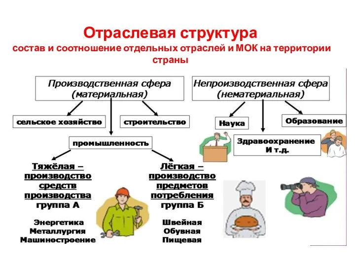 Отраслевая структура состав и соотношение отдельных отраслей и МОК на территории страны