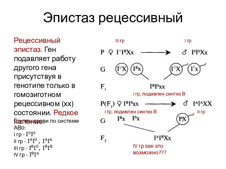 Эпистаз рецессивный III гр Рецессивный эпистаз. Ген подавляет работу другого гена присутствуя