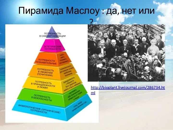 Пирамида Маслоу : да, нет или …? http://bioplant.livejournal.com/286734.html