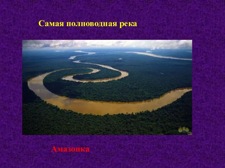 Самая полноводная река Амазонка