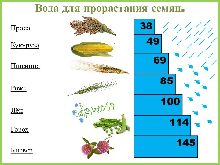 145 49 85 69 114 38 100 Кукуруза Пшеница Рожь Лён Горох