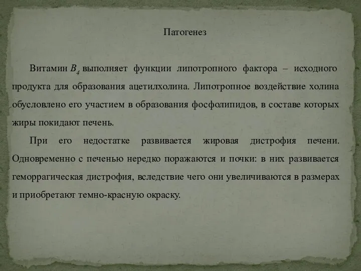 Патогенез Витамин B4 выполняет функции липотропного фактора – исходного продукта для образования