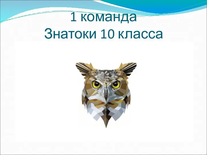 1 команда Знатоки 10 класса