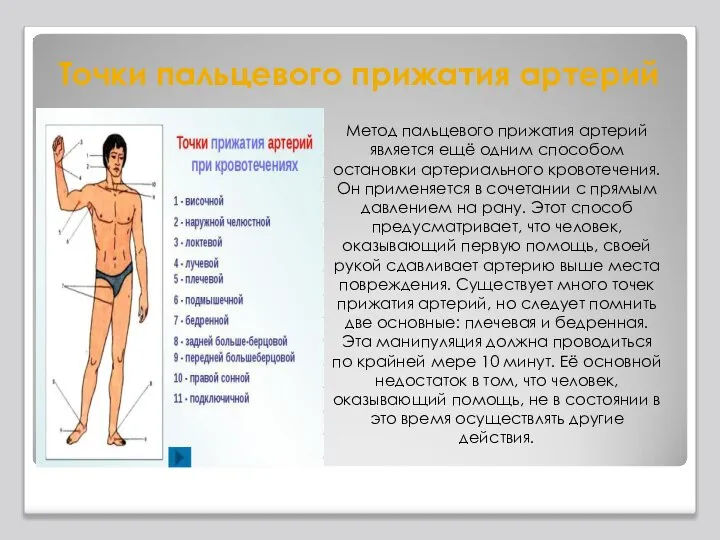 Точки пальцевого прижатия артерий Метод пальцевого прижатия артерий является ещё одним способом