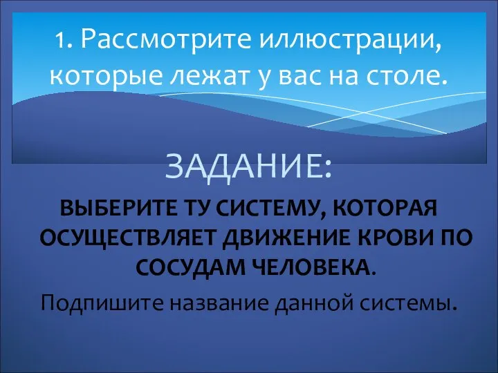 ЗАДАНИЕ: ВЫБЕРИТЕ ТУ СИСТЕМУ, КОТОРАЯ ОСУЩЕСТВЛЯЕТ ДВИЖЕНИЕ КРОВИ ПО СОСУДАМ ЧЕЛОВЕКА. Подпишите