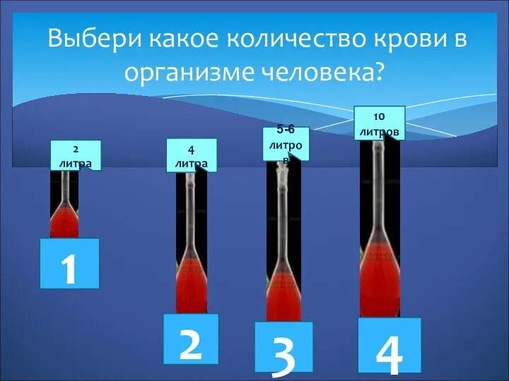 Выбери какое количество крови в организме человека? 2 литра 4 литра 5-6