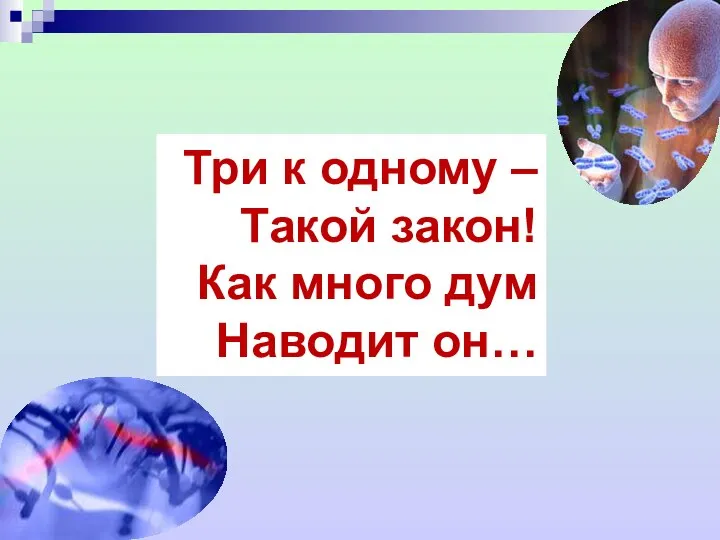 Три к одному – Такой закон! Как много дум Наводит он…