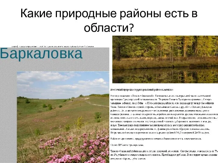 Какие природные районы есть в области?