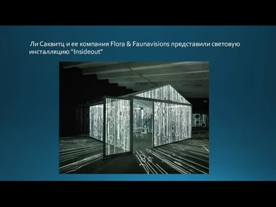 Ли Саквитц и ее компания Flora & Faunavisions представили световую инсталляцию "Insideout"