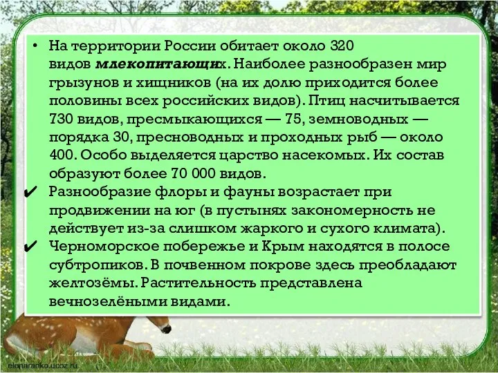 На территории России обитает около 320 видов млекопитающих. Наиболее разнообразен мир грызунов