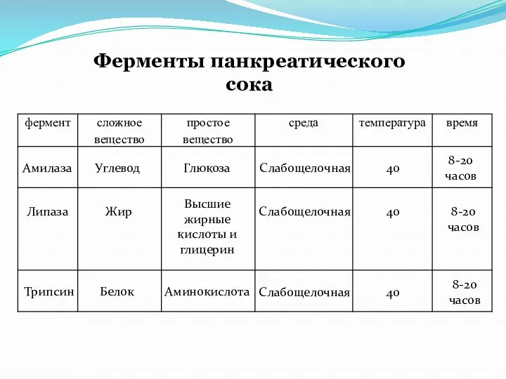 Ферменты панкреатического сока Амилаза Углевод Глюкоза Слабощелочная 40 8-20 часов Липаза Жир