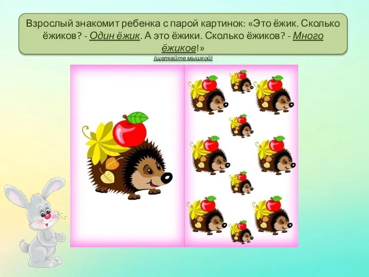 Взрослый знакомит ребенка с парой картинок: «Это ёжик. Сколько ёжиков? - Один