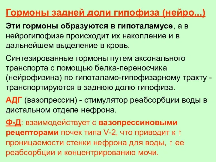 Гормоны задней доли гипофиза (нейро...) Эти гормоны образуются в гипоталамусе, а в